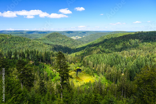 Beautiful landscape panorama showing forested mountain ridges of the German Black Forest during summer.