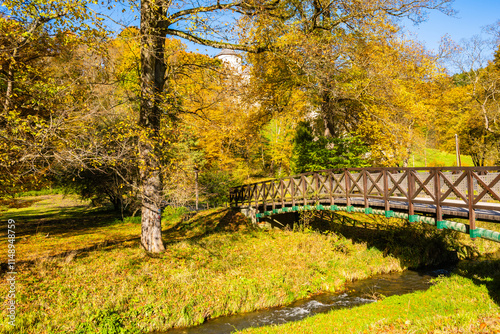 Obraz na płótnie Wooden bridge over river in park with autumn fall colors of trees in Ojcow National Park, Poland w salonie
