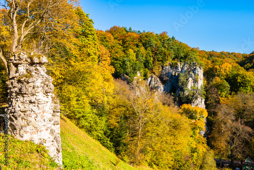 Obraz na płótnie Limestone rocks in autumn fall landscape of Ojcow National Park, Poland w salonie