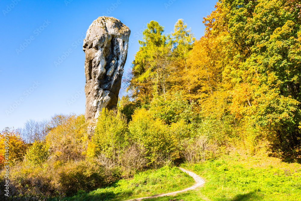 View of Hercules mace rock near Pieskowa Skala castle with autumn fall colors of trees in Ojcow National Park, Poland