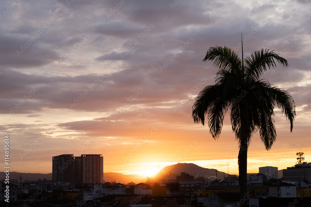 sunrise over the city with buildings and palmtree
