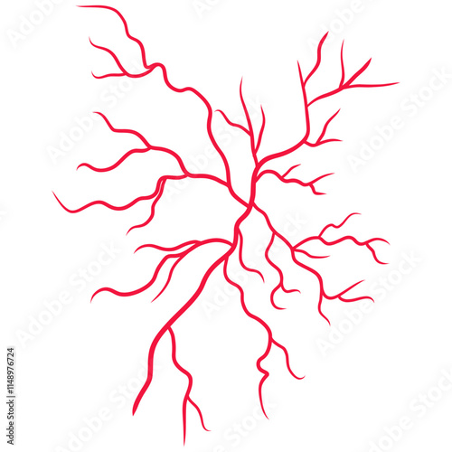 Human blood veins and arteries capillaries bloodstream
