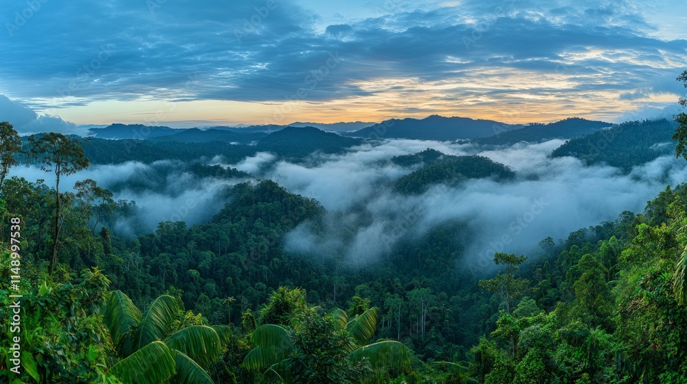 Lush Jungle Landscape with Fog and Twilight Sky in Serene Nature Lush Jungle Landscape with Fog and Twilight Sky in Serene Nature