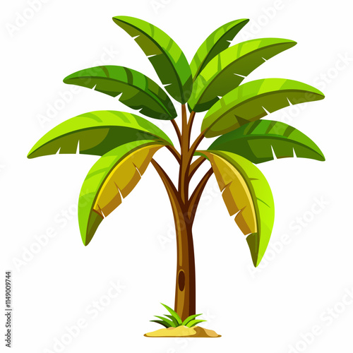 banana tree ,white background