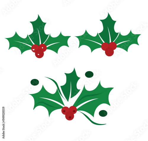 Christmas holly. Holly berry vector. Holly berry leaves Christmas symbol. Vector illustation,