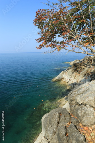 Obraz na płótnie nature, created by nature, view, sky, purity, untouched, pure, sunny, without humans, earth, innocence, flora, plants, planet earth, travel, realx, peace, rest, tranquility, vacation, freedom, space, w salonie