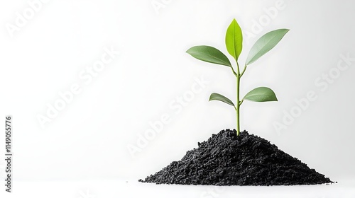 investment fund growth chart isolated on white background photo