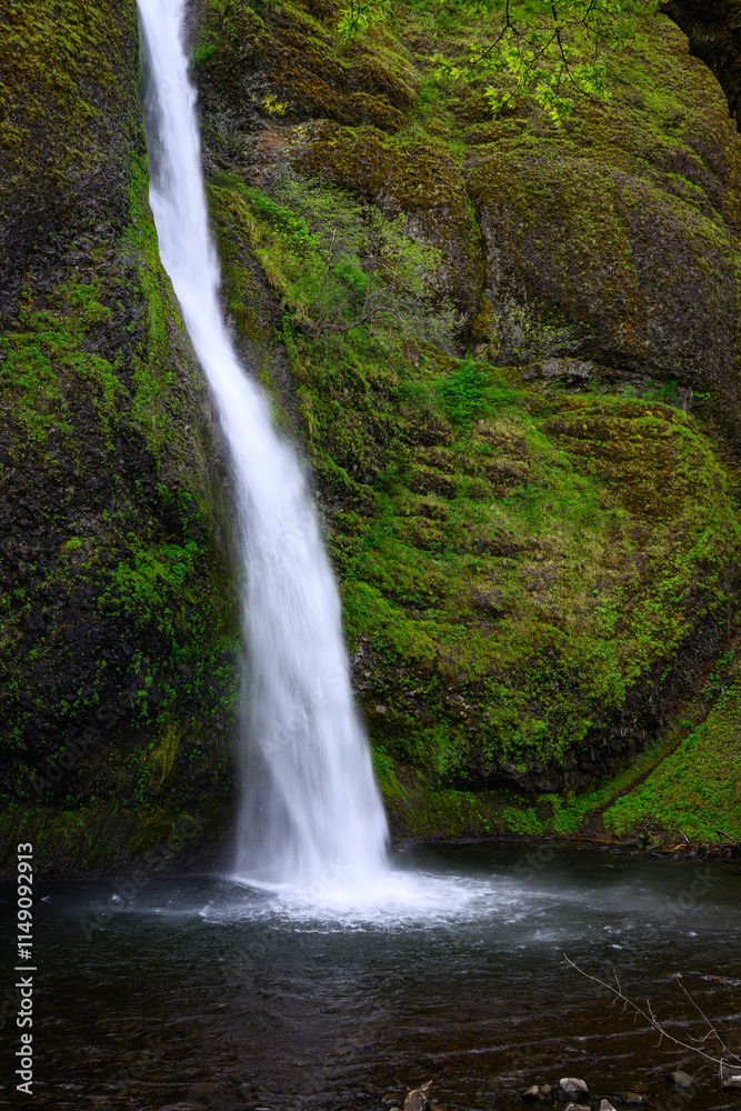 Horsetail Falls plunging in delecate fan into pool in Columbia Gorge Horsetail Falls plunging in delecate fan into pool in Columbia Gorge