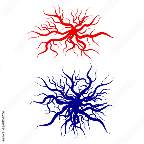 Human blood veins and arteries capillaries bloodstream