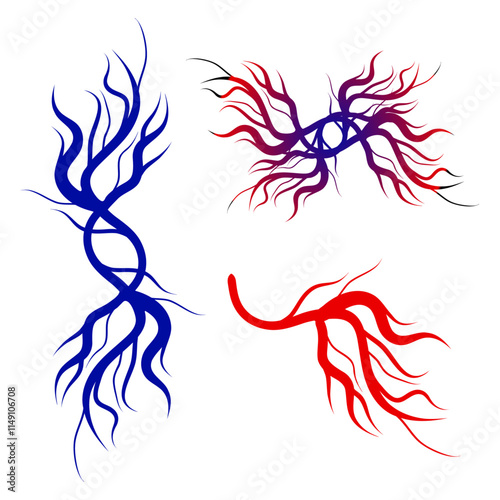 Human blood veins and arteries capillaries bloodstream