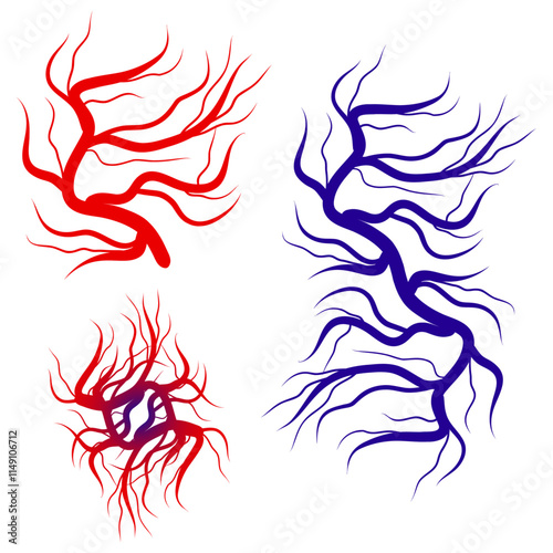 Human blood veins and arteries capillaries bloodstream