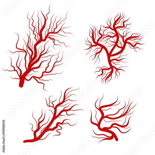 Human blood veins and arteries capillaries bloodstream