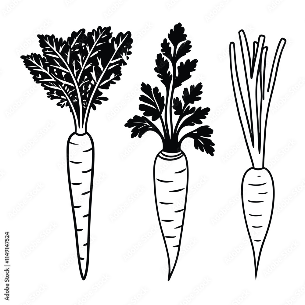Black and White Carrot Icons silhouette design. Black and White Carrot Icons silhouette design.