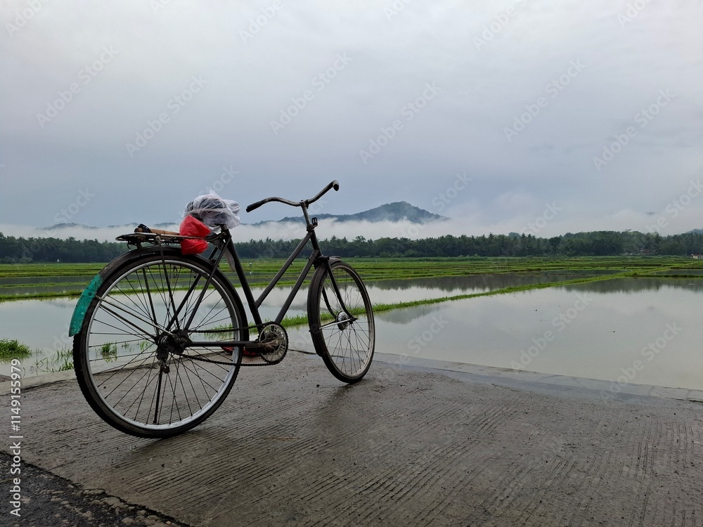 Fototapeta premium A vintage bicycle parked on a concrete path overlooking serene rice fields and reflective water. The misty hills in the background 