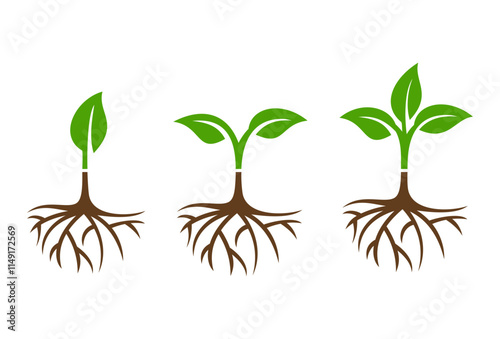 set of plant icon logo design vector