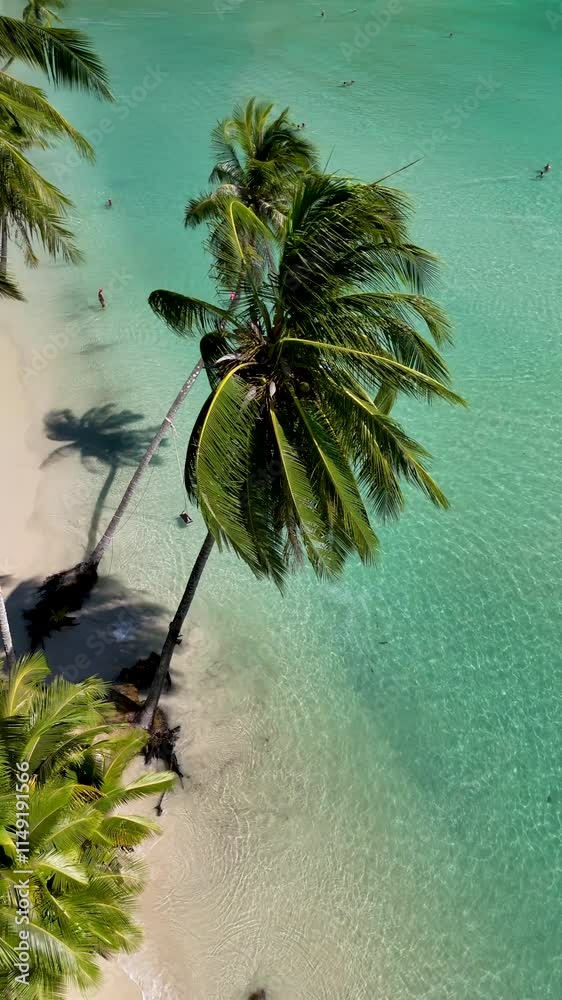 Explore the unparalleled tranquility of Koh Kood Island in Thailand, where gentle waves kiss pristine shores and lush palm trees dance in the warm breeze.