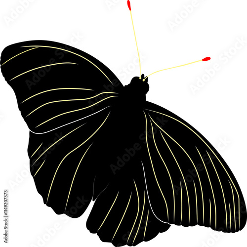 The sleek, ebony butterfly showcases subtle golden veins tracing across its wings, hinting at a hidden, intricate beauty within nature