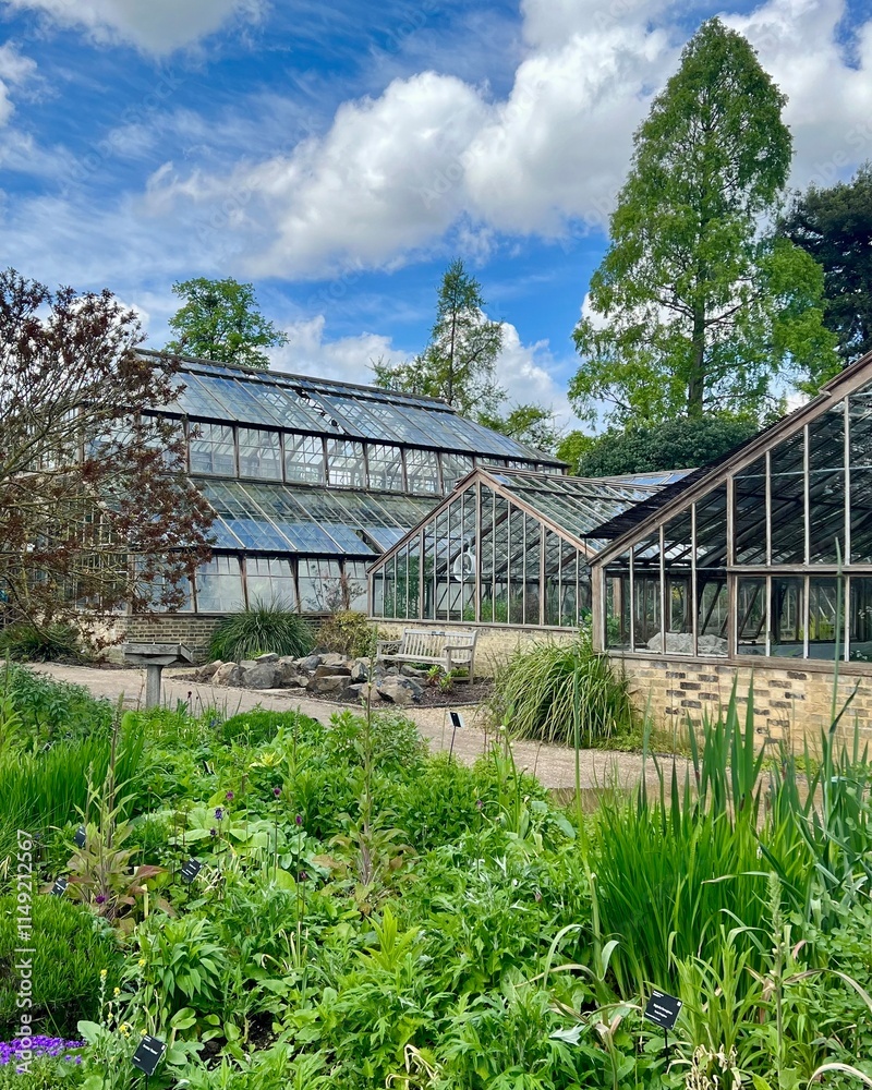 Fototapeta premium greenhouses