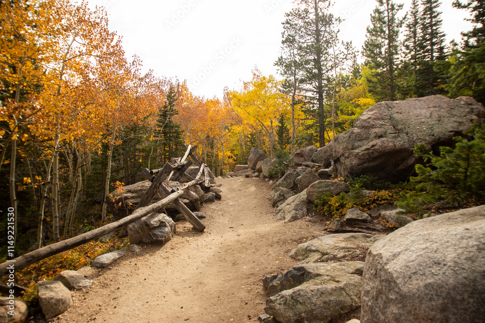 Fototapeta premium fall path
