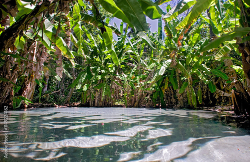 Piscina natural no Parque Estadual do Jalapão. Tocantins. photo