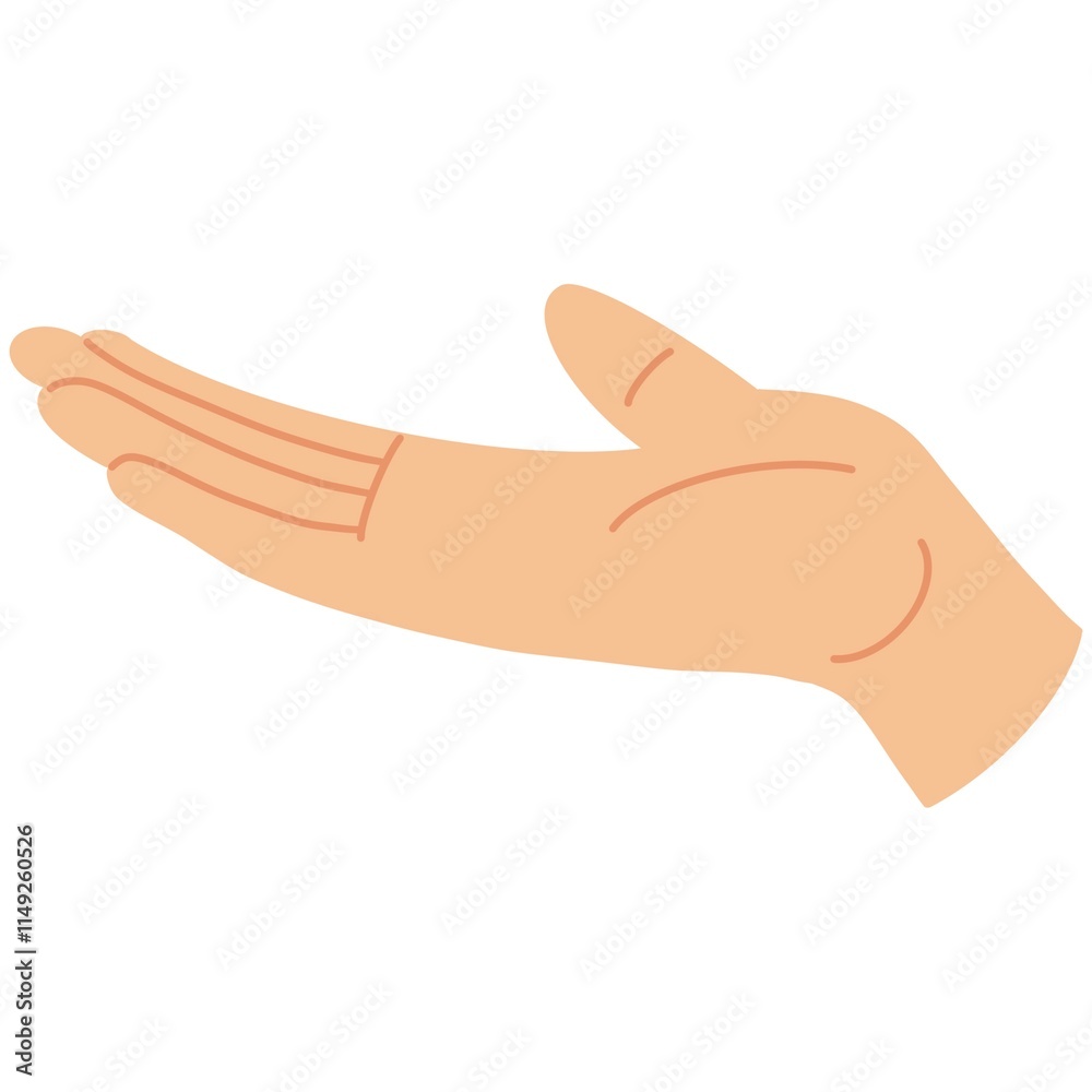 A hand gesture. Retention, demonstration. A hand holding something. A woman's open palm up. Vector graphic illustration isolated on a white background. A hand gesture. Retention, demonstration. A hand holding something. A woman's open palm up. Vector graphic illustration isolated on a white background.