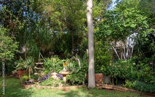 A green home garden with water is an urban oasis for birdlife