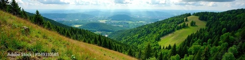 Landscape of a steep forest hill with a large bog at the summit, hill, Grosser Beerberg, landscape