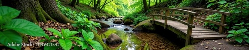 Forest floor with a wooden bridge spanning a small stream, natural, water, peaceful