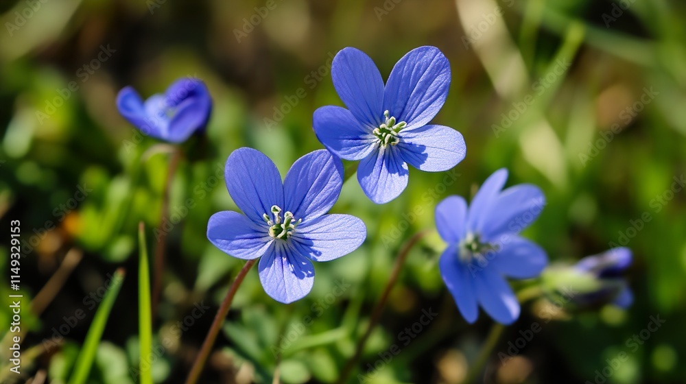 Close-up view of vibrant blue spring flowers in a lush green meadow Close-up view of vibrant blue spring flowers in a lush green meadow