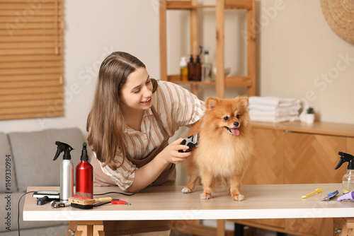 Female groomer shaving hair...