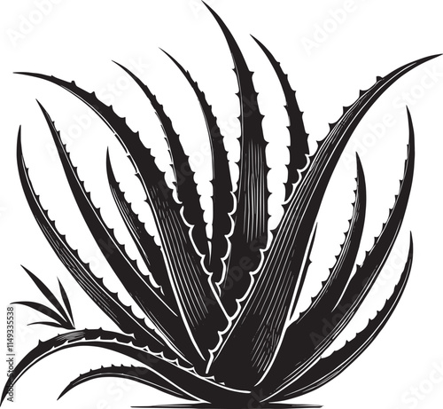 Aloe vera plant silhouette isolated on white background simple aloe vera icon shape