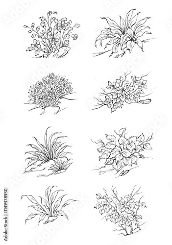 Black silhouettes of grass, flowers and herbs isolated on white background. Hand drawn sketch flowers and insects.