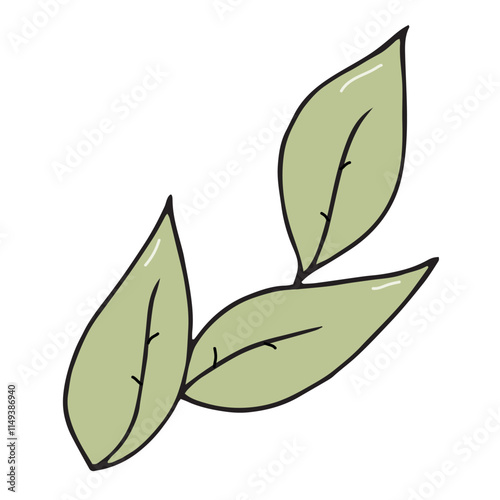 green sprig with a leaf of green or black tea, natural, organic, eco-friendly, vector color doodle element, cute design element