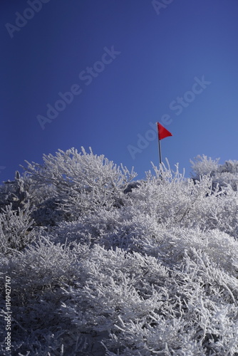 Obraz na plátně 한라산 영실 눈꽃 설산라산 영실 눈꽃 설산