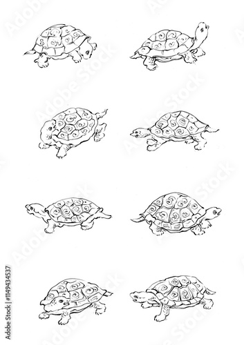 Wallpaper Mural Beautiful hand drawn turtle and frog with white background
 Torontodigital.ca