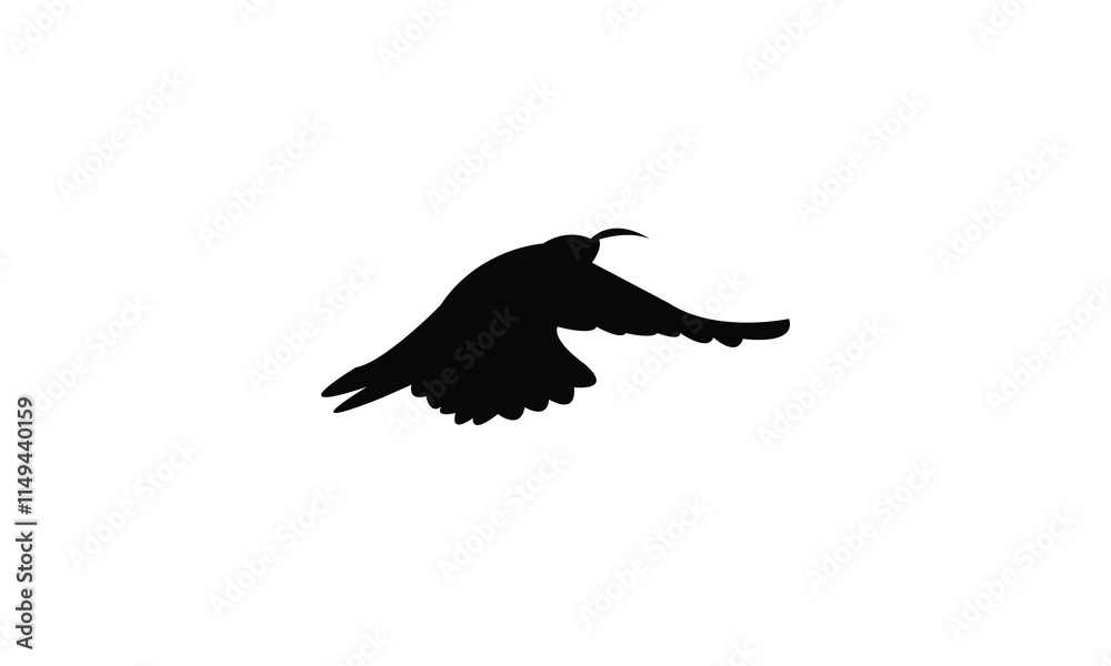 Obraz premium Flying Scimitarbill Bird Silhouette Design And Vector Illustration. 