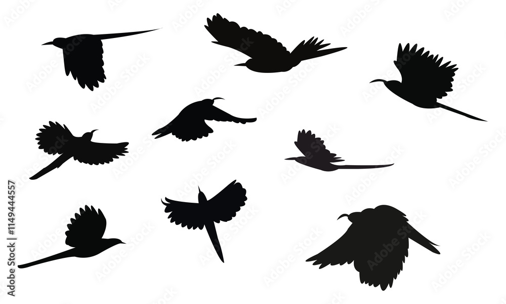 Obraz premium Flying Scimitarbill Bird Silhouette Design And Vector Illustration. 