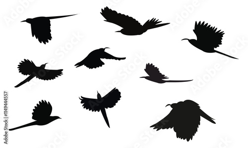 Flying Scimitarbill Bird Silhouette Design  And Vector Illustration.  photo