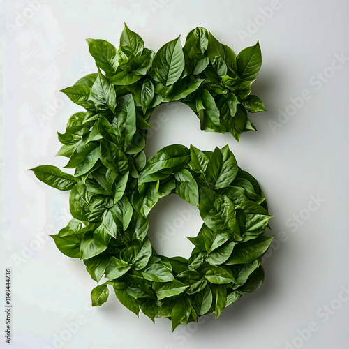 Green number six made of lush leaves on white background photo