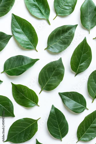 Green leaves arranged symmetrically on a white background, showcasing nature's pattern and harmony.