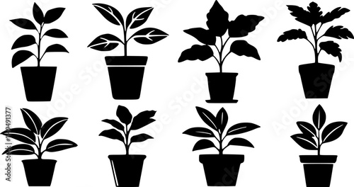 Potted plant silhouettes set. Plants in pots vector illustrations.