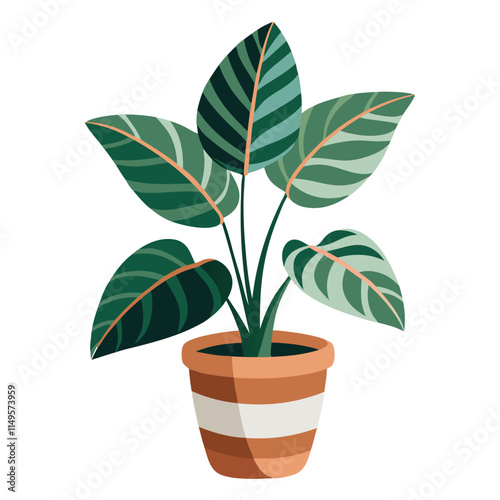 Beautiful potted prayer plant with vibrant green leaves displayed against a clean white background for a fresh home aesthetic