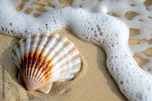 Seashell on Sandy Beach with Ocean Wave Foam Texture photo