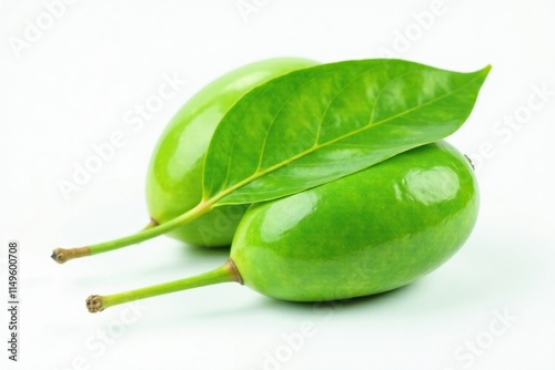 Double whole mango leaf on a bright green stem isolated on white background, green, nature