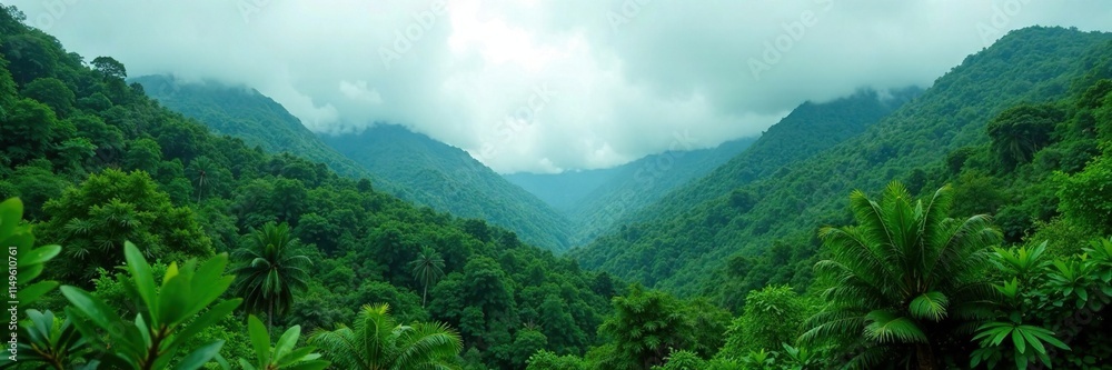 Obraz premium Dense green forest amidst grey monsoon clouds, nature, greenery, wild
