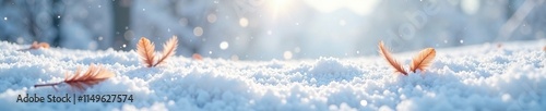 Snowy landscape with feathers scattered across the ground, peaceful, texture, landscape