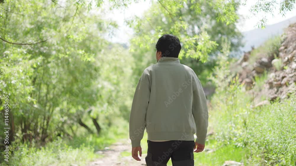 4K Rear view shot of an Indian man wearing warm clothing walking in the middle of the trees in the forest at Keylong in Himachal Pradesh, India. Man exploring the peaceful vibes of nature in forest.