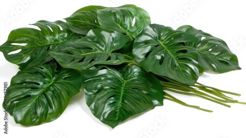 Artificial Monstera deliciosa leaves, vibrant green,  perfect for decoration. photo