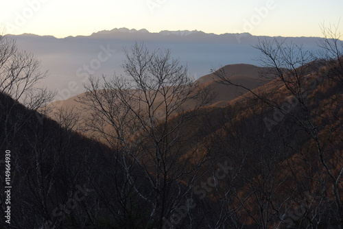 秋の山