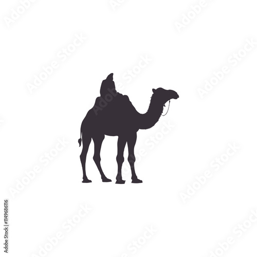 Silhouettes camels animal icon set vector illustration. Isolated on white background.